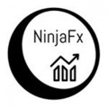 NinjaFX PDF Course