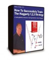 Kevin Haggerty - How To Successfully Trade The Haggerty 1,2,3 Strategy Home Study Trading Course