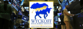 Wyckoff Stock Market Institute Course