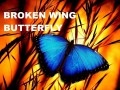 SMB John Locke – Broken Wing Butterfly Master Track Series